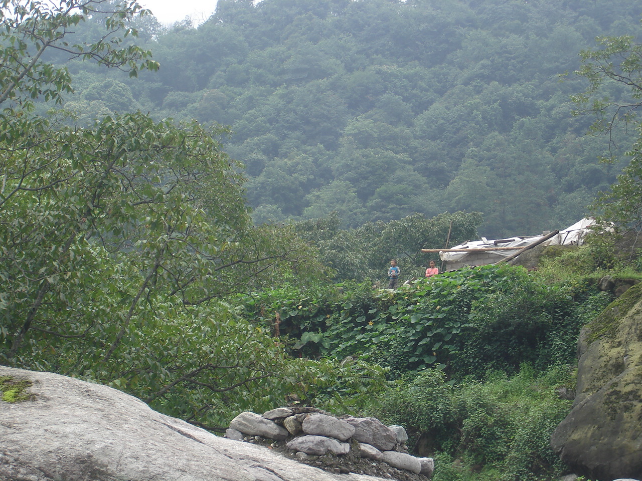 骑上我的小绵羊又到德昌海花村