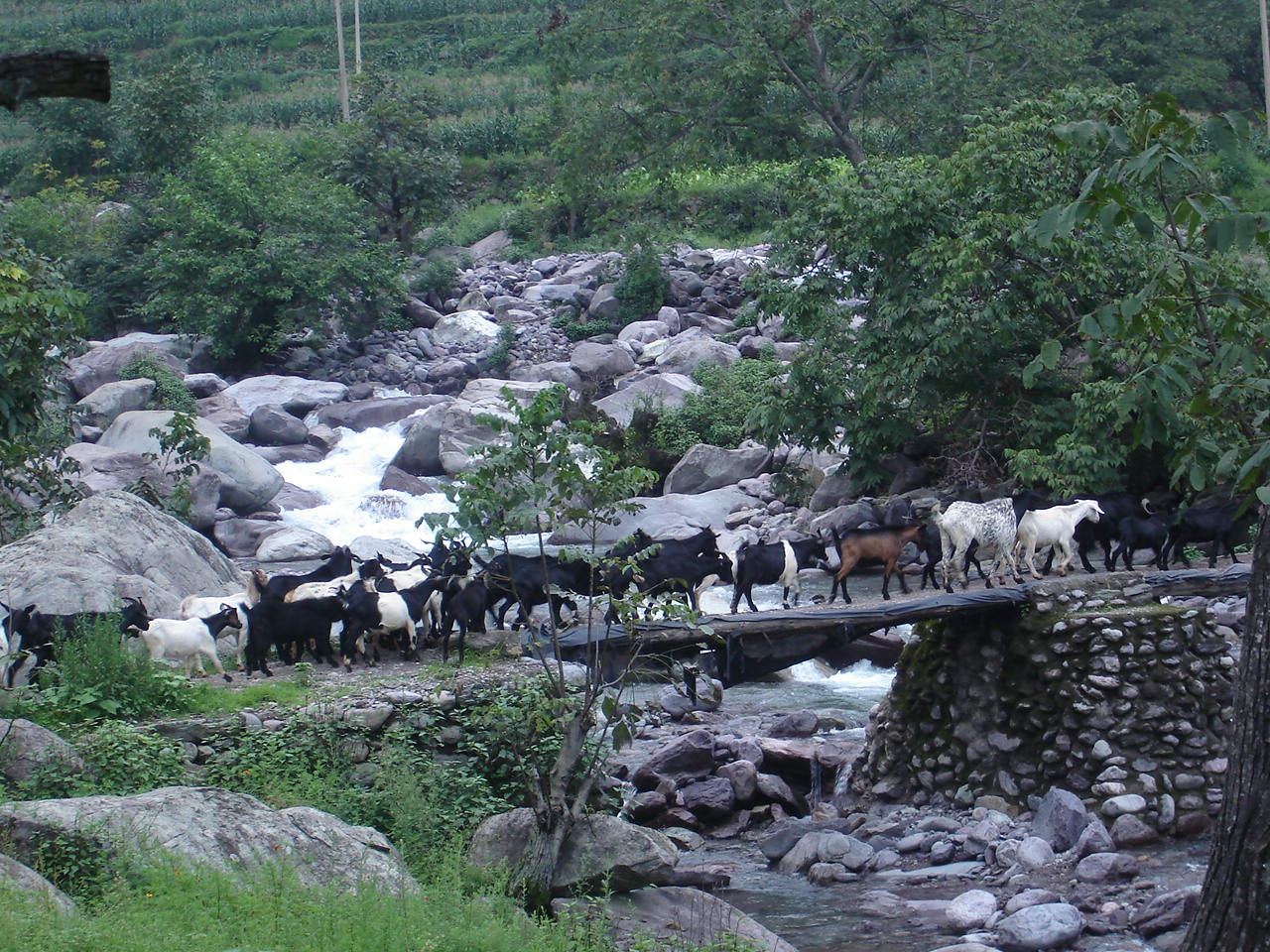 骑上我的小绵羊又到德昌海花村