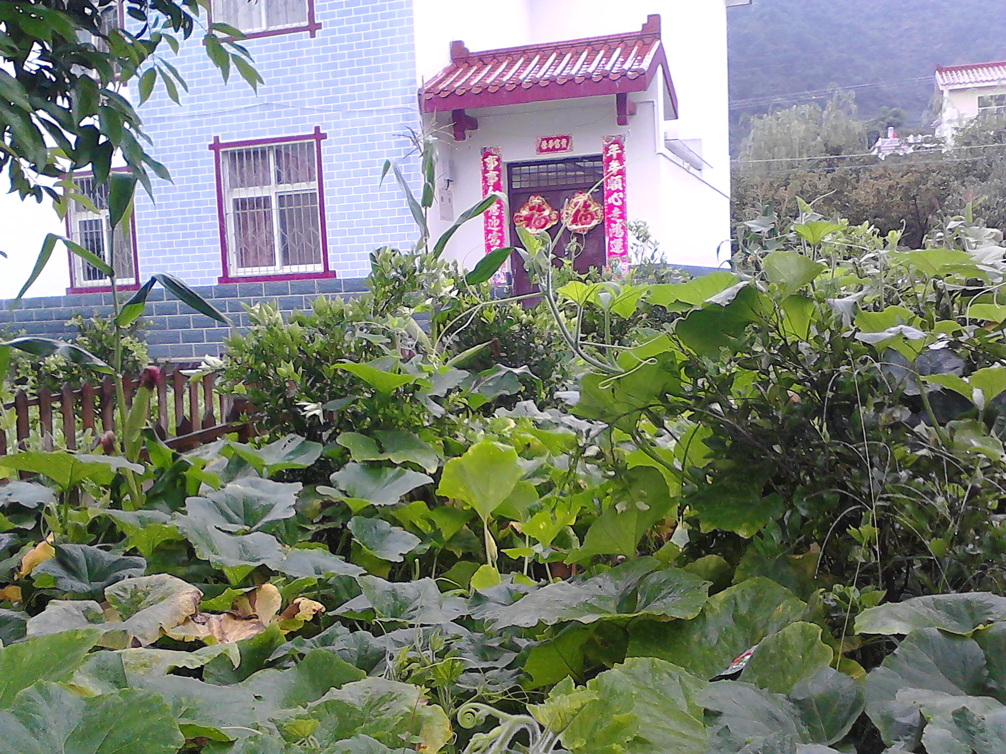 IMG_20140822_115251.jpg