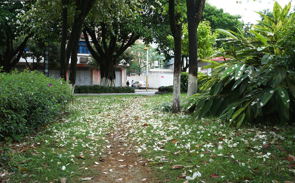 DSC02613.JPG