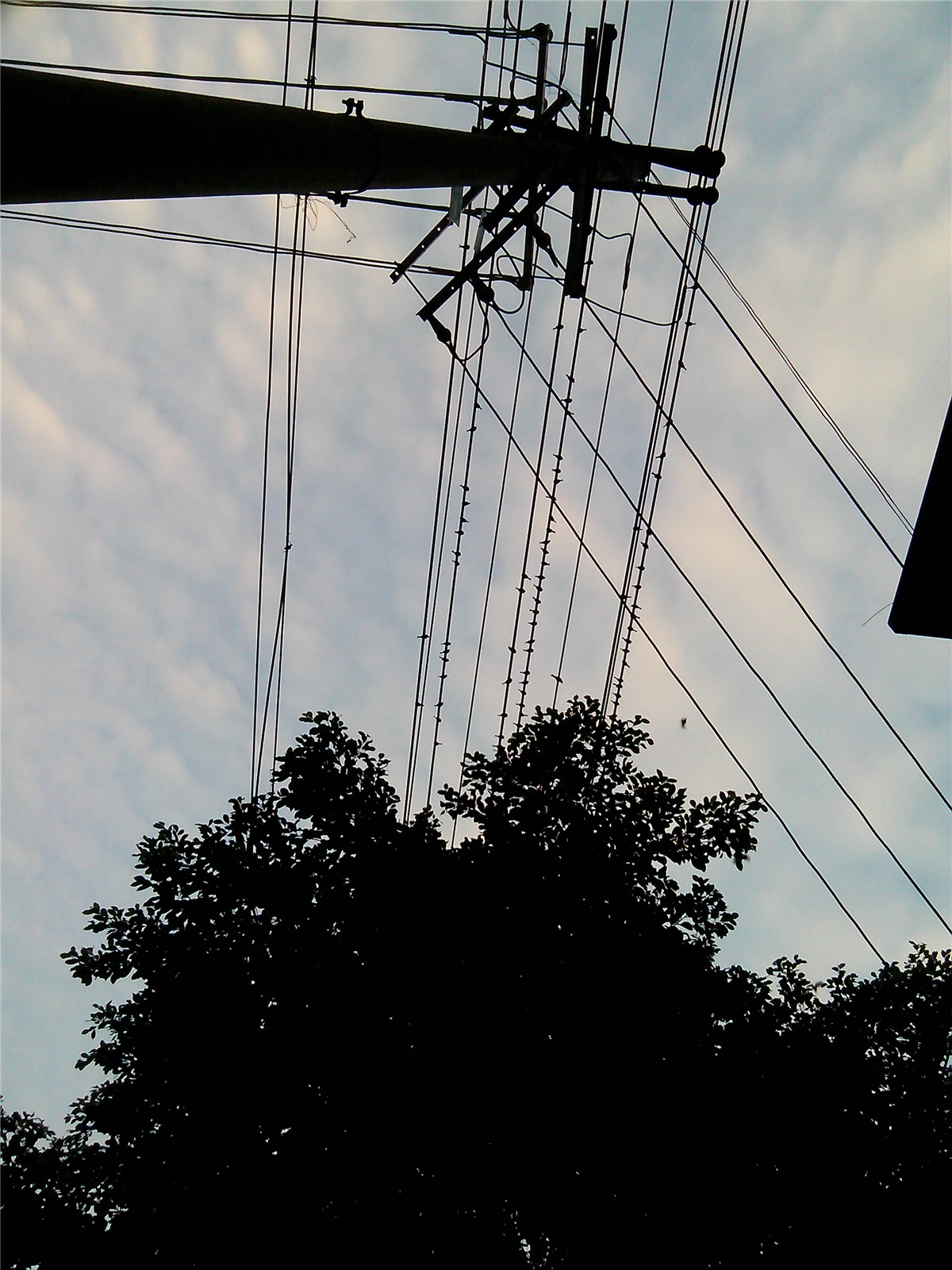 IMG_20140827_191438.jpg