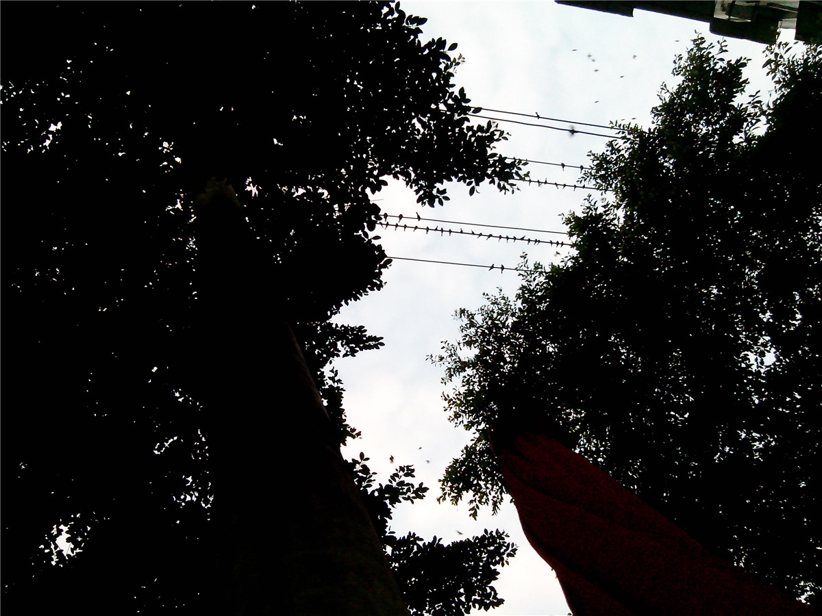 IMG_20140827_191417.jpg
