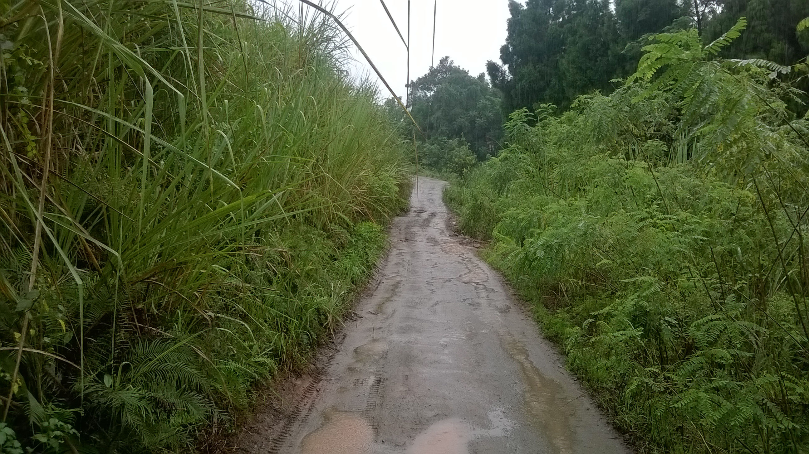WP_20140826_012.jpg