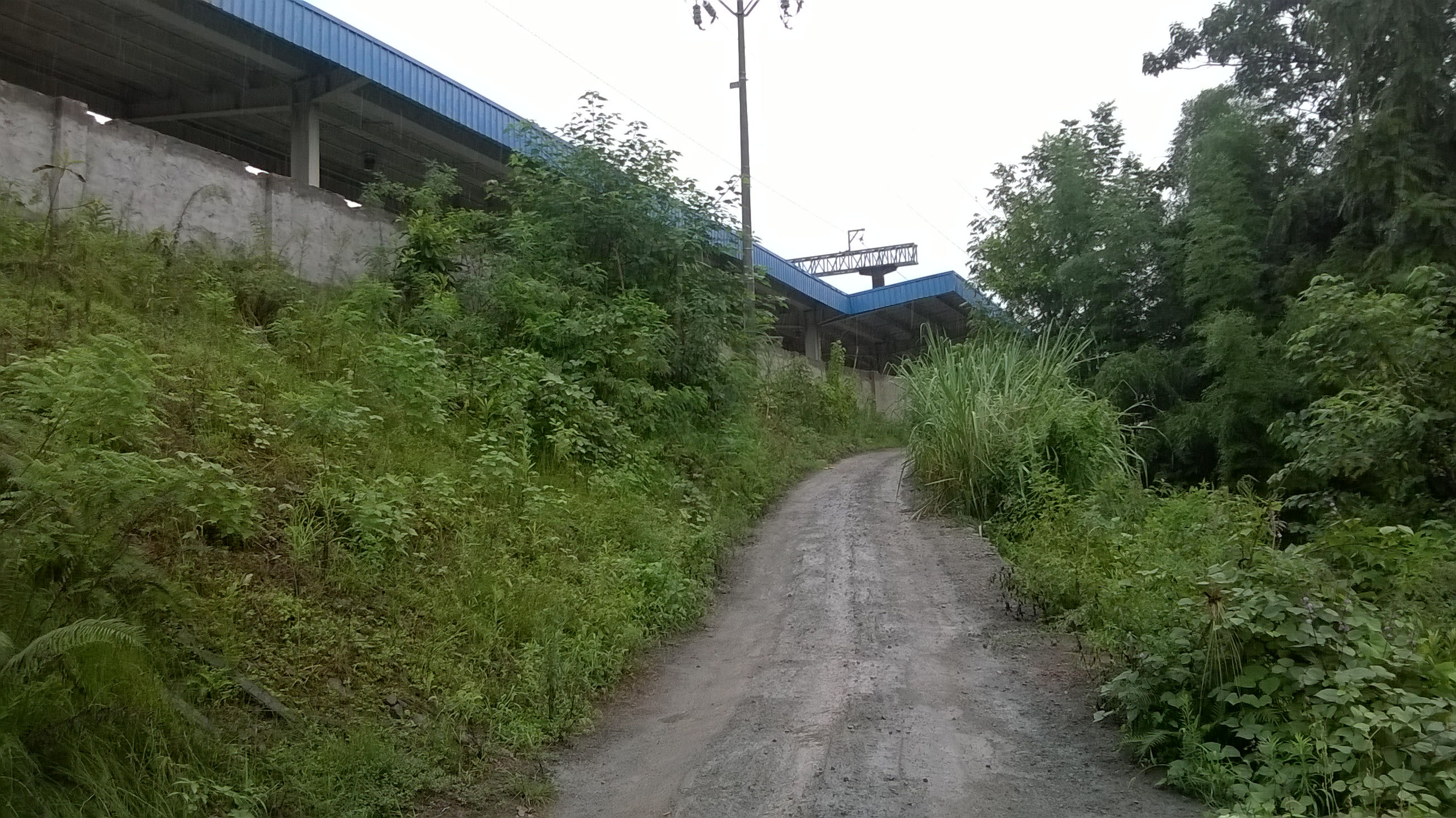 WP_20140826_018.jpg