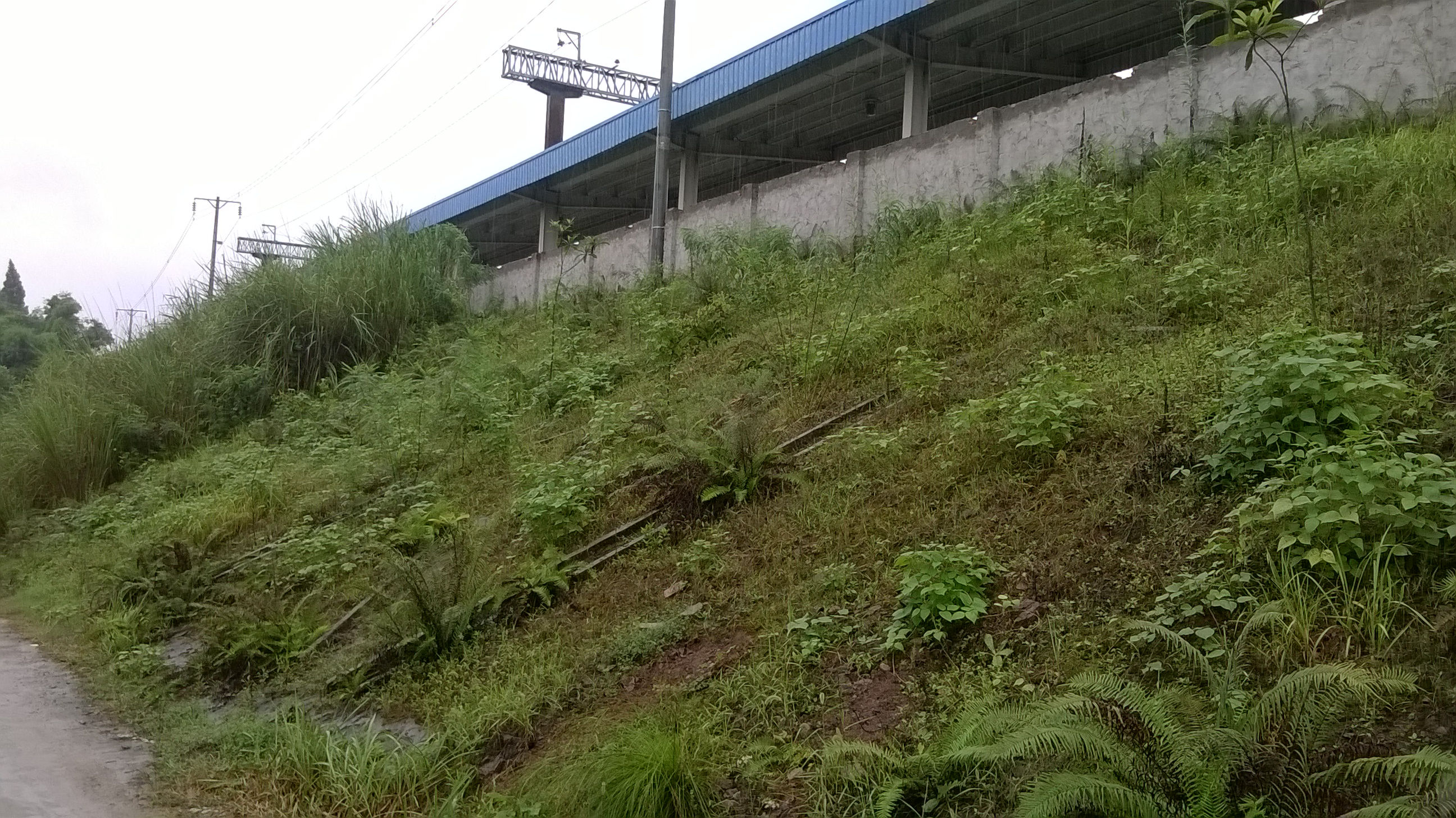 WP_20140826_013.jpg