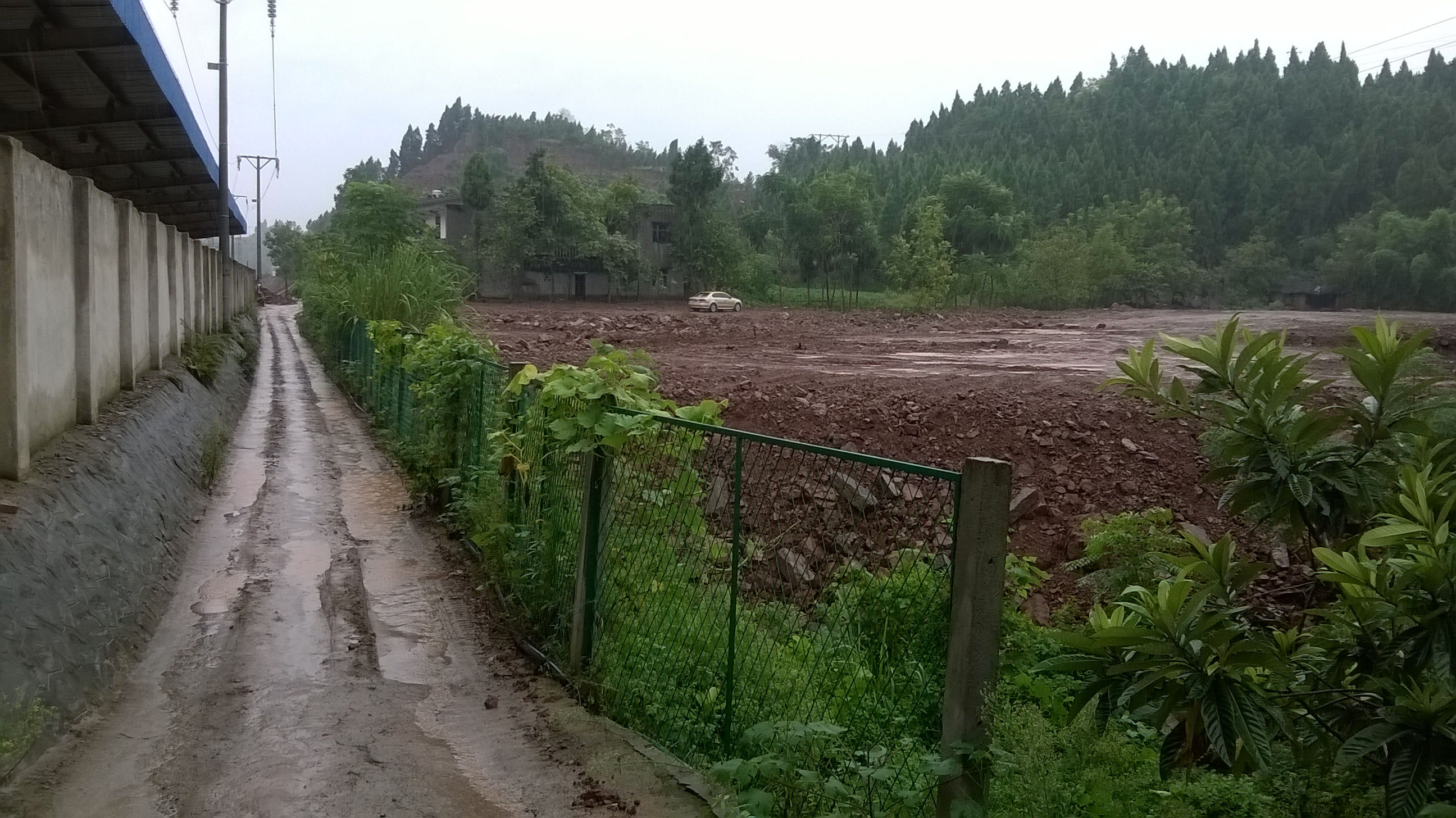WP_20140826_033.jpg