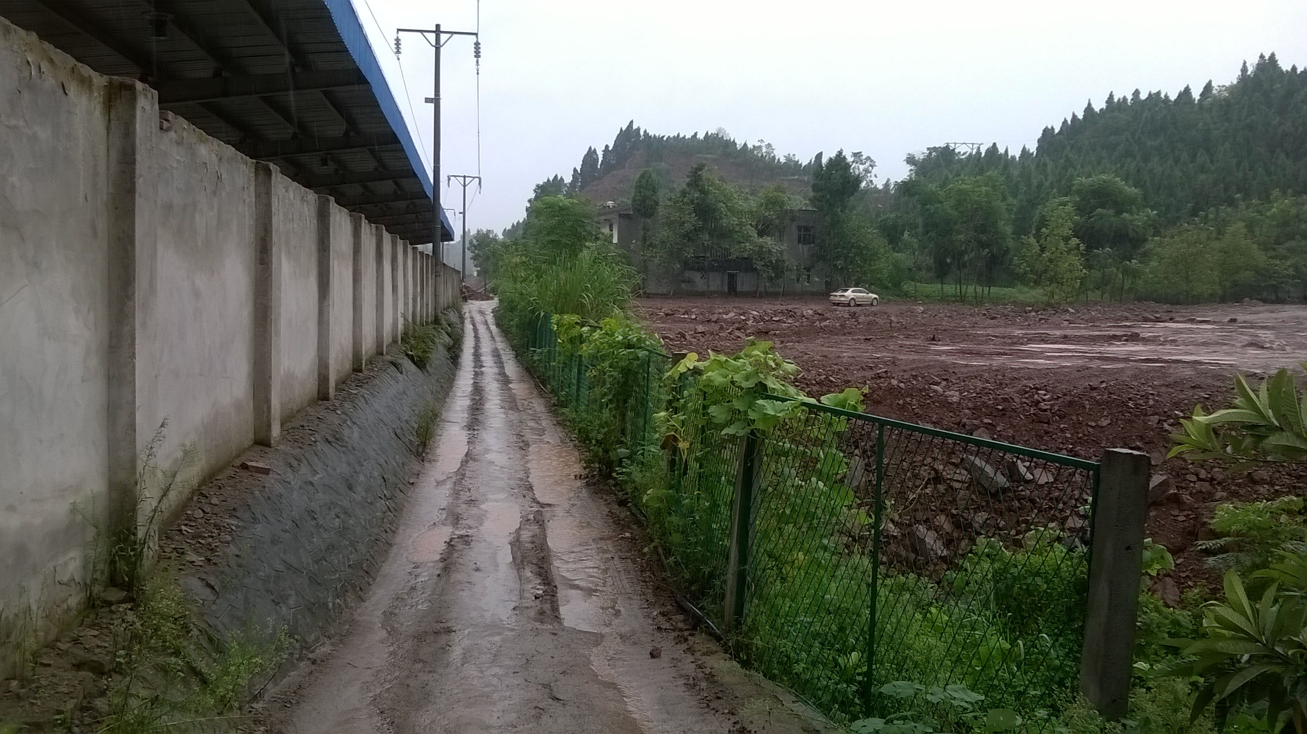 WP_20140826_034.jpg
