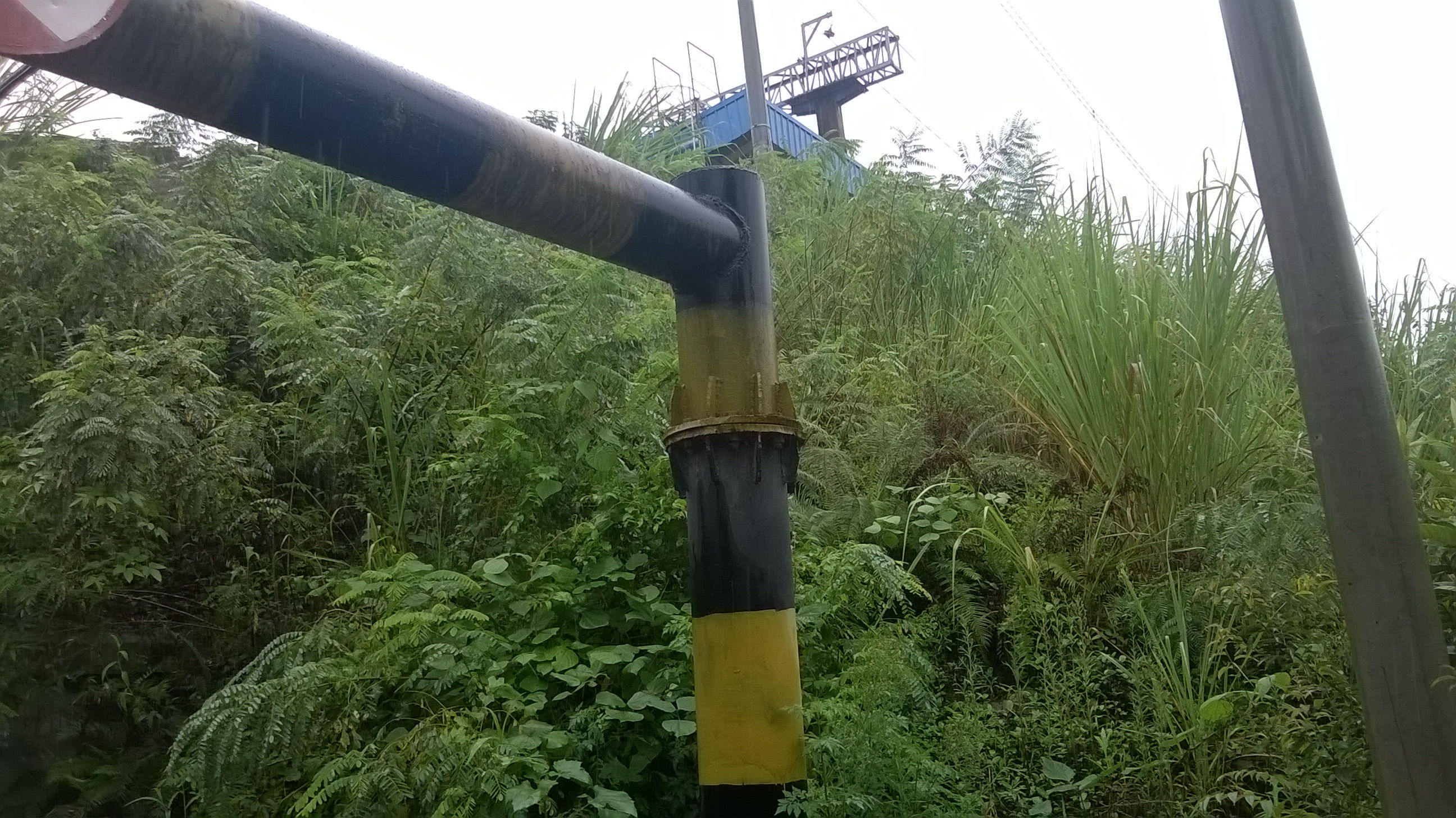 WP_20140826_095.jpg