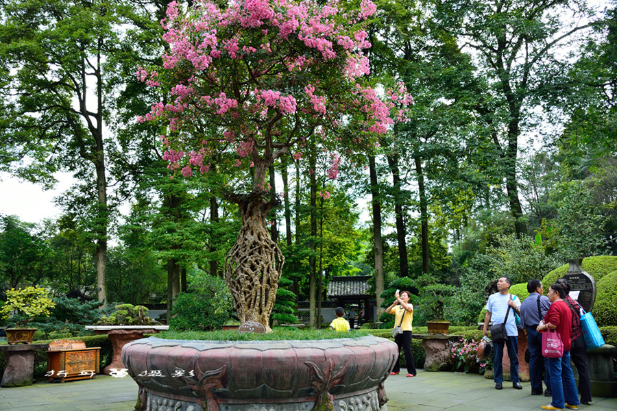 DSC_3762__.jpg