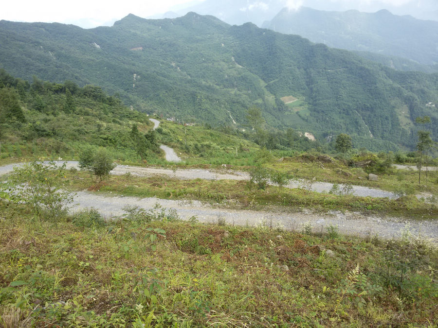 20140824_095322.jpg