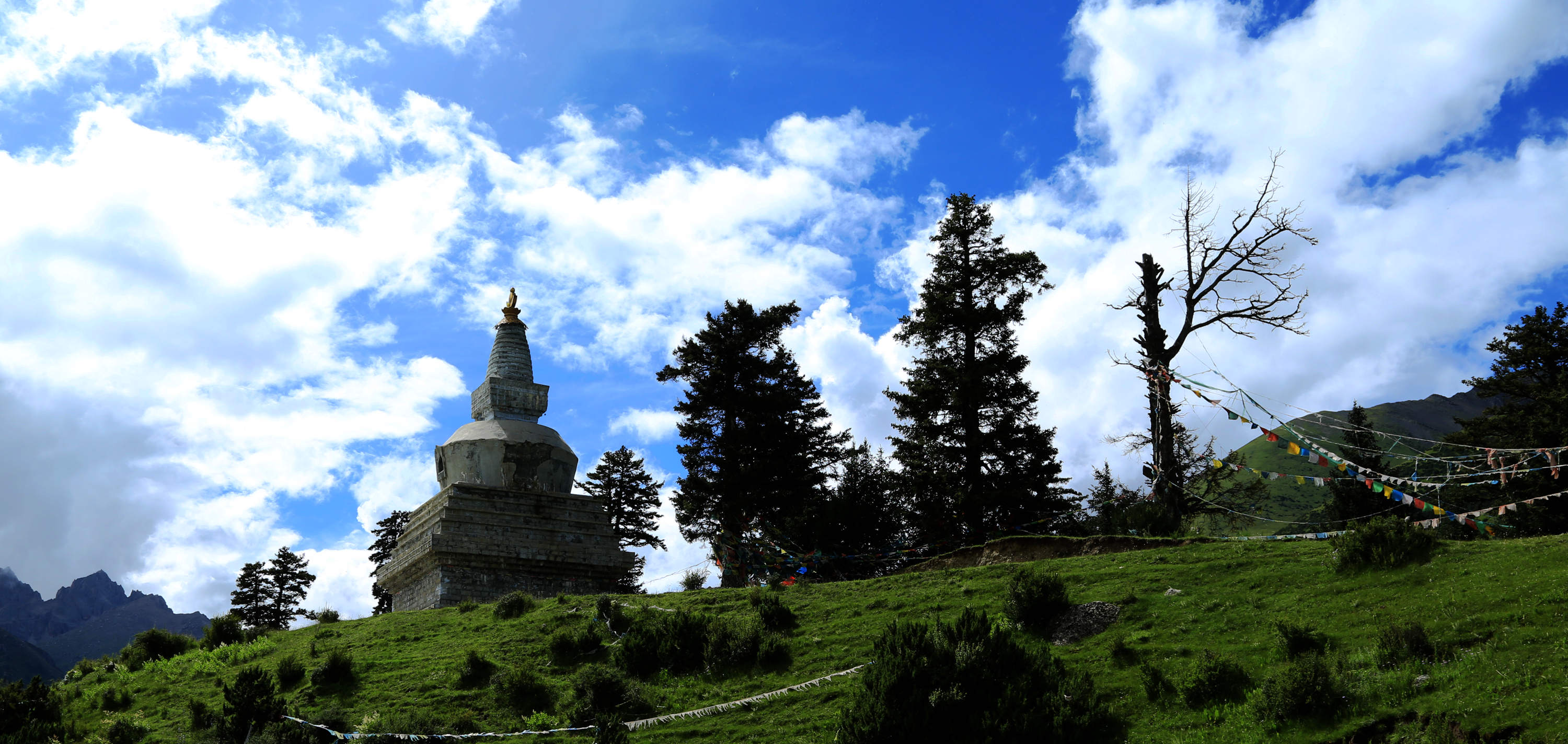 雀儿山,新路海杂拍!