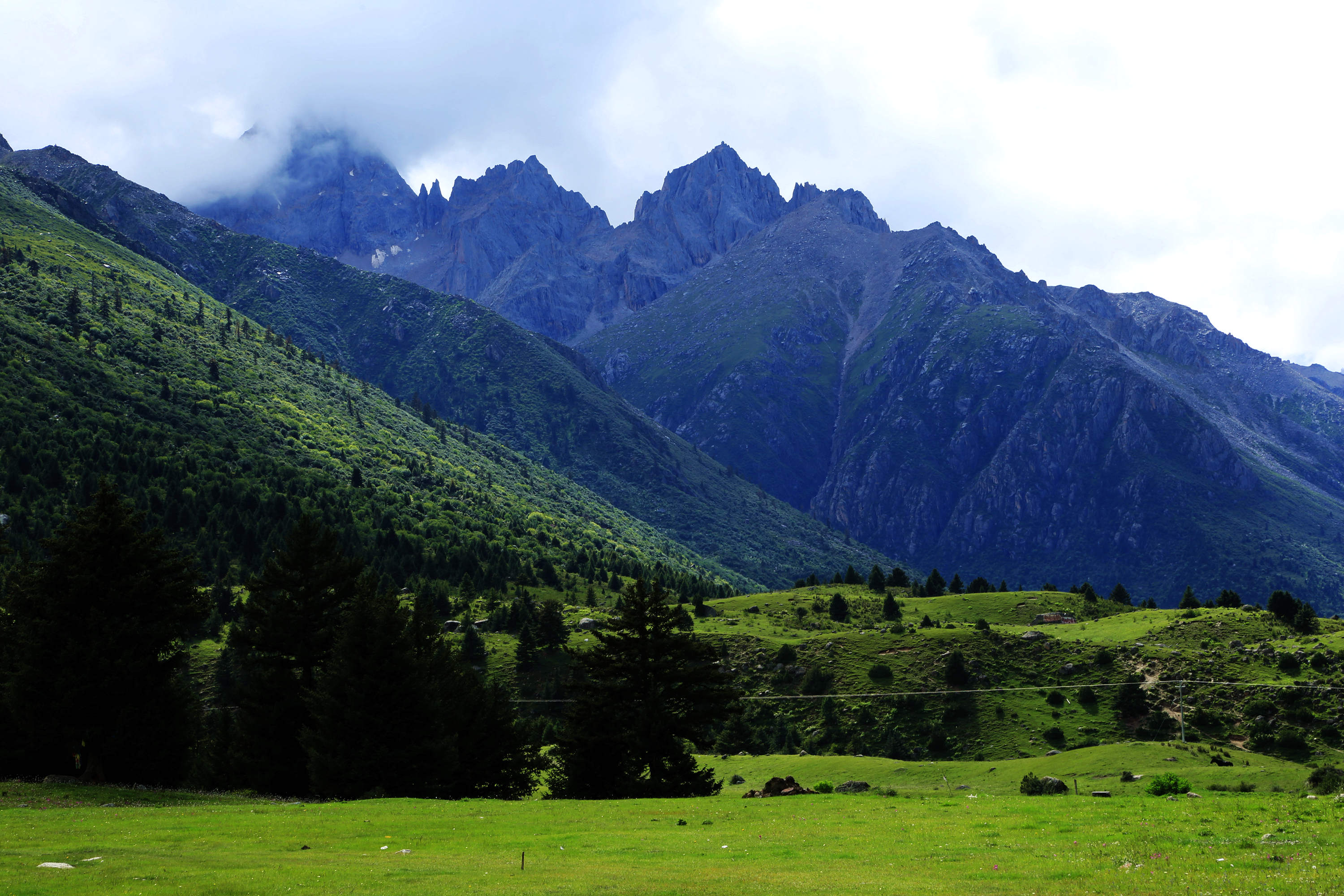 雀儿山,新路海杂拍!