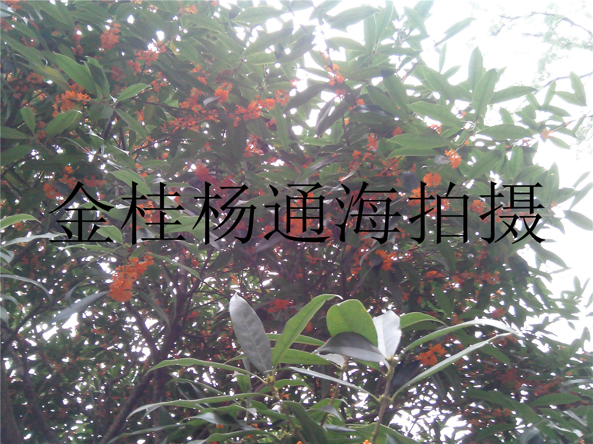IMG_20140830_165840.jpg