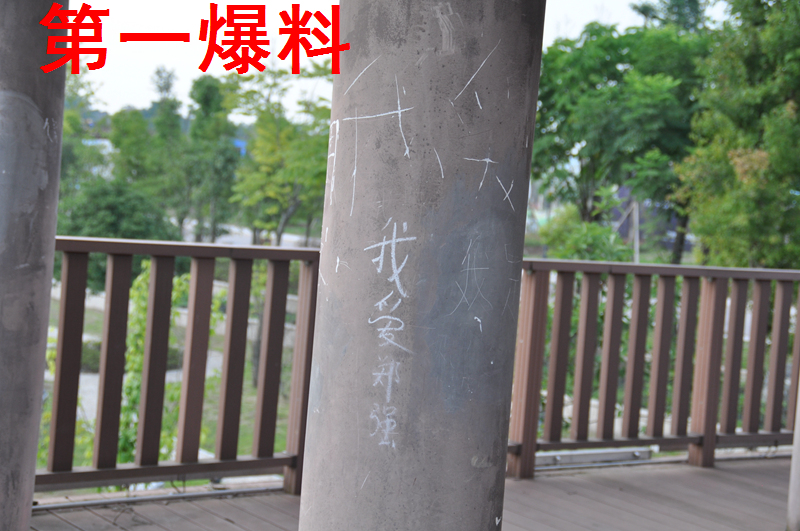 DSC_7987.JPG