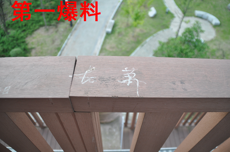 DSC_7934.JPG
