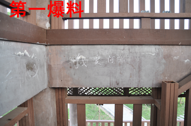 DSC_7967.JPG