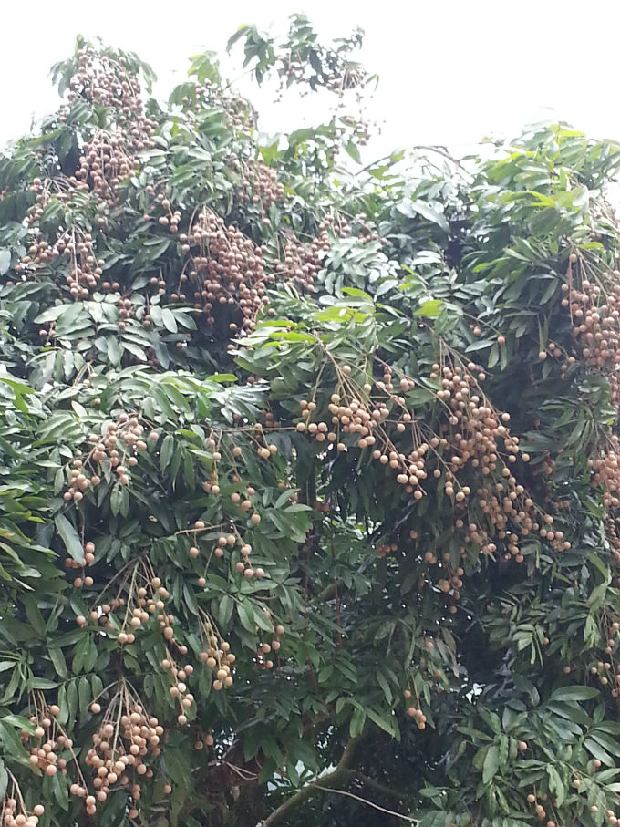 20140831_133105.jpg