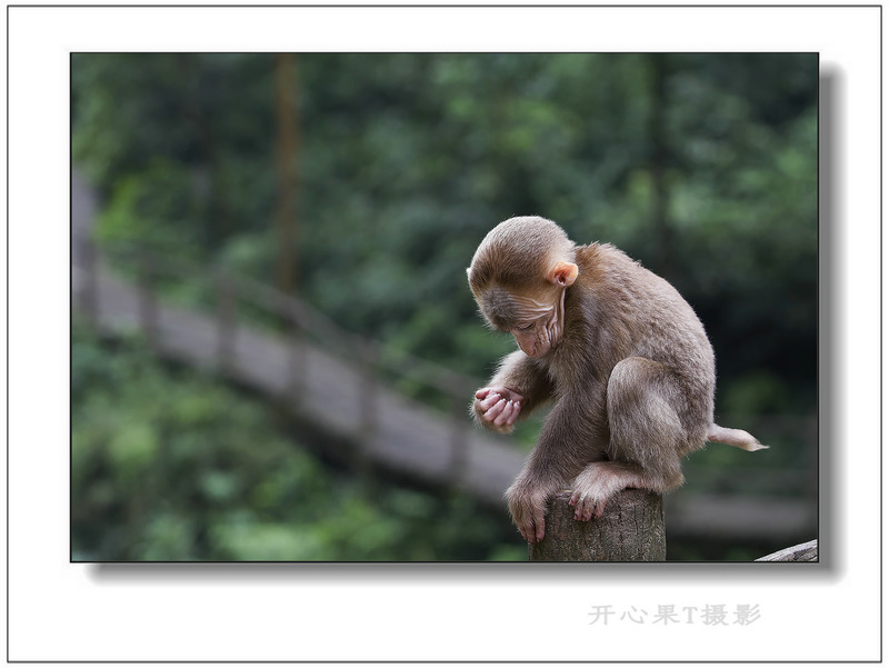 6T9A9874.jpg