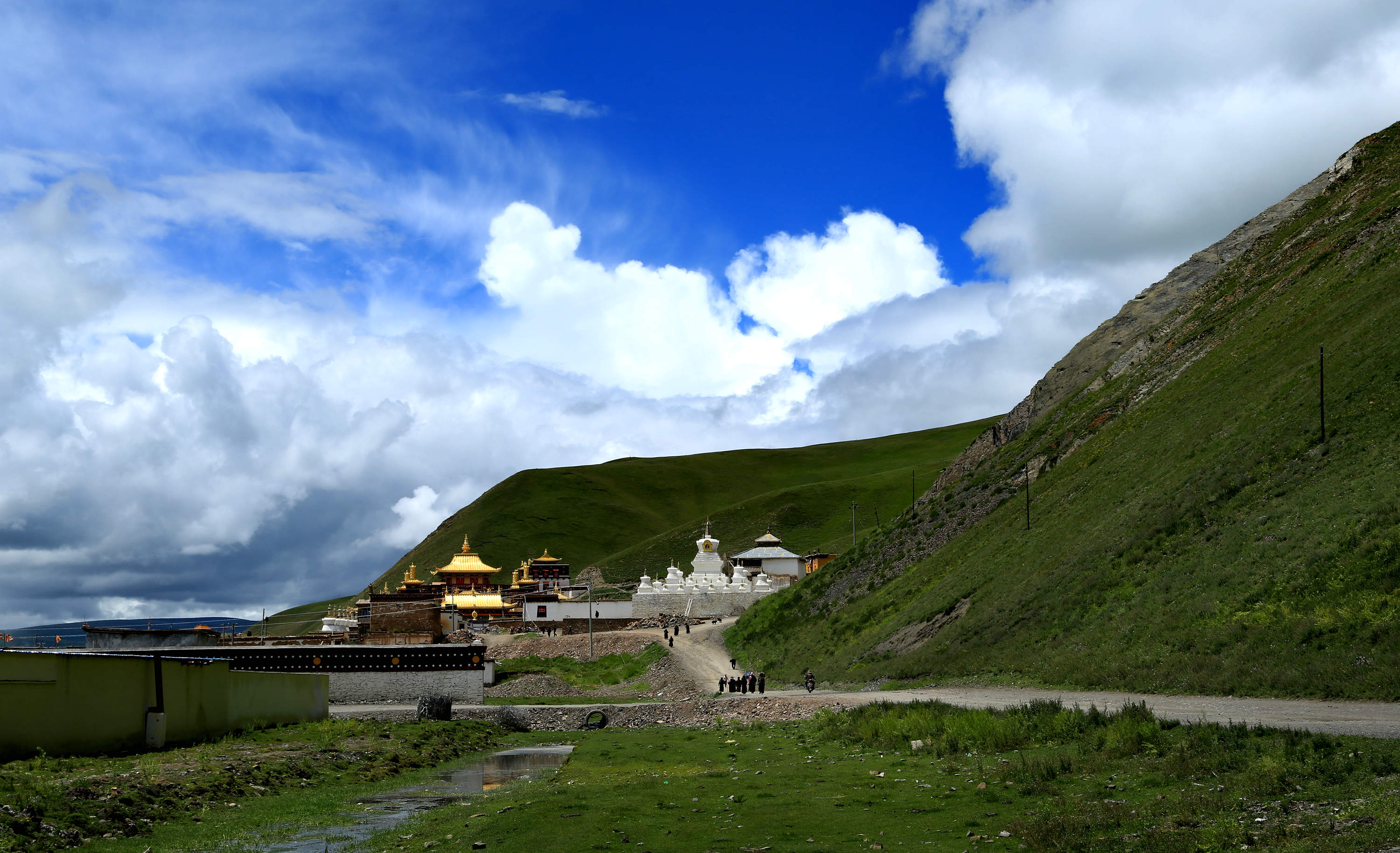 扎溪卡草原风光!