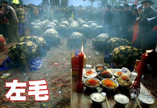 奴隶化的中国教师