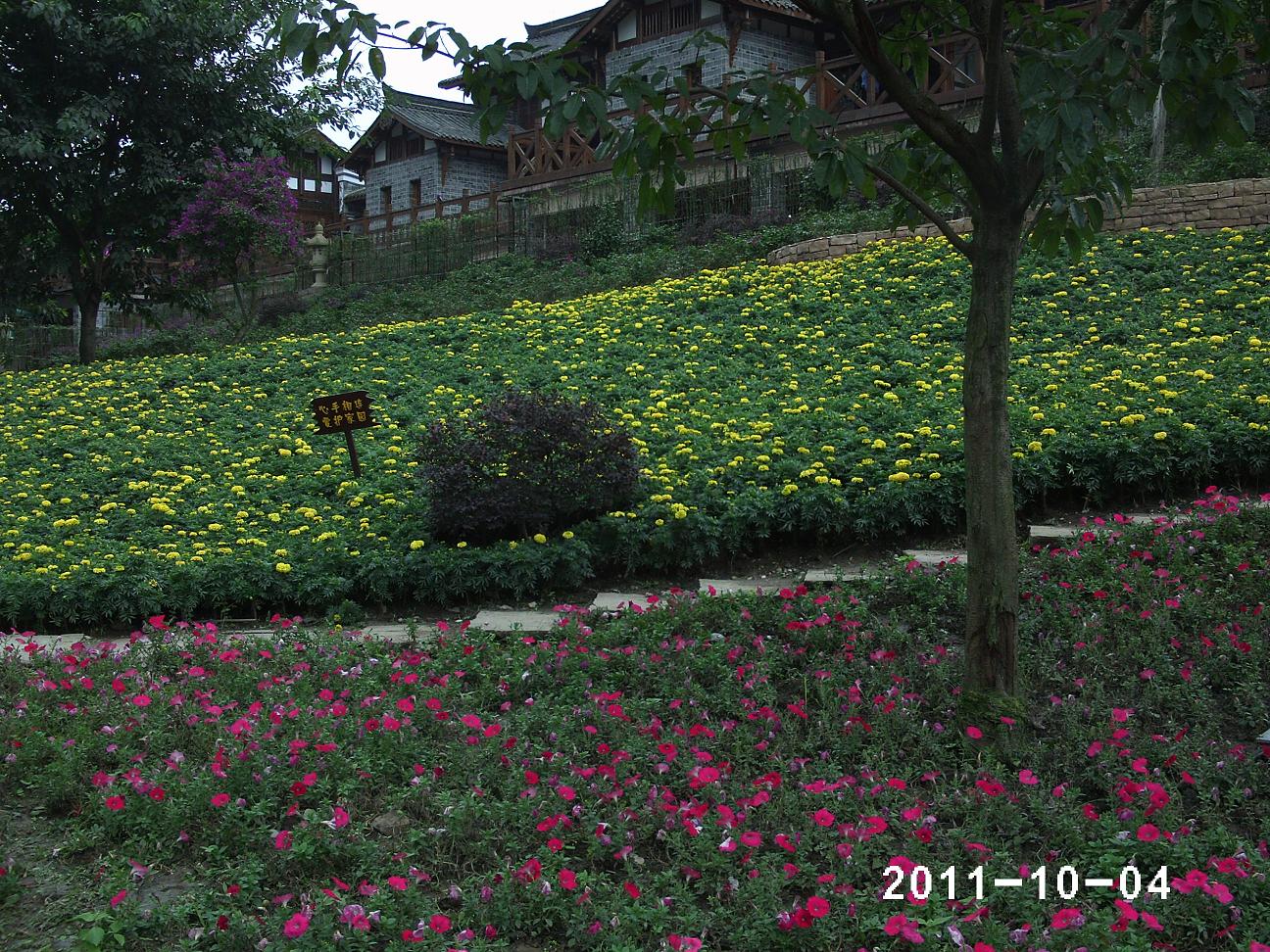 PHOT0197.JPG
