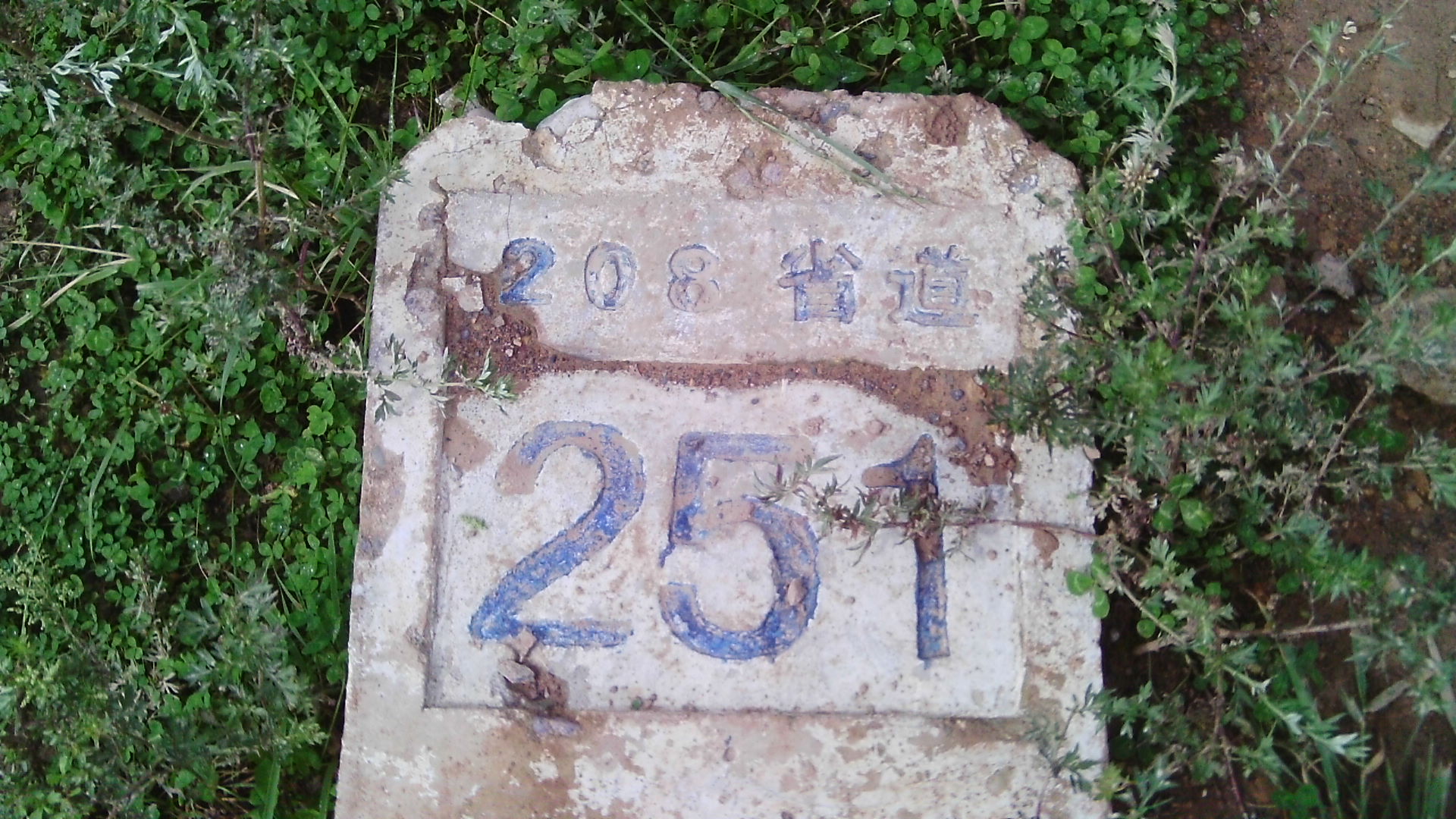 偶过208省道