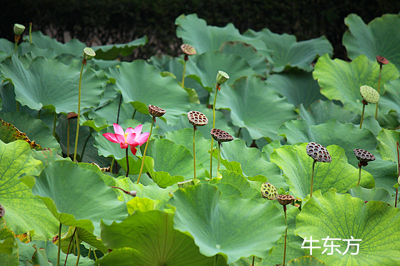 2014.9.9 (4)_.jpg