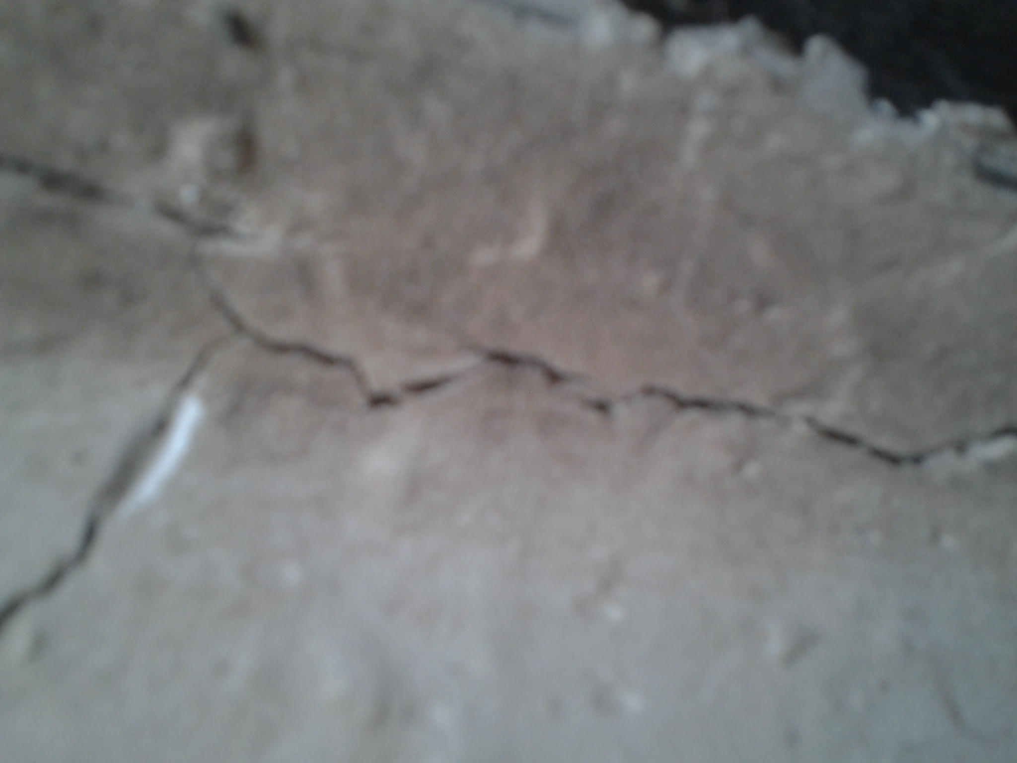 20140501_085754.jpg