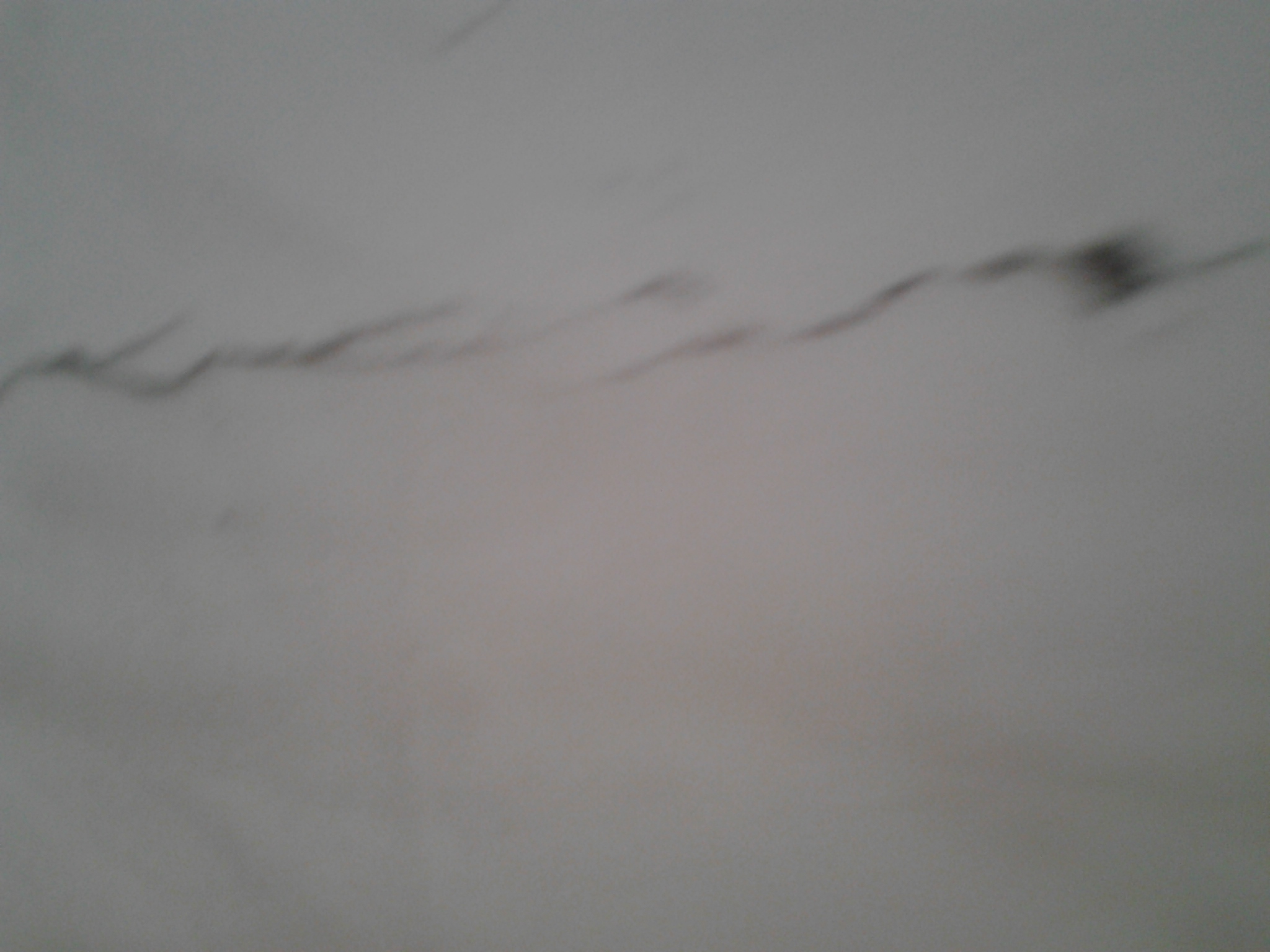 20140501_102250.jpg