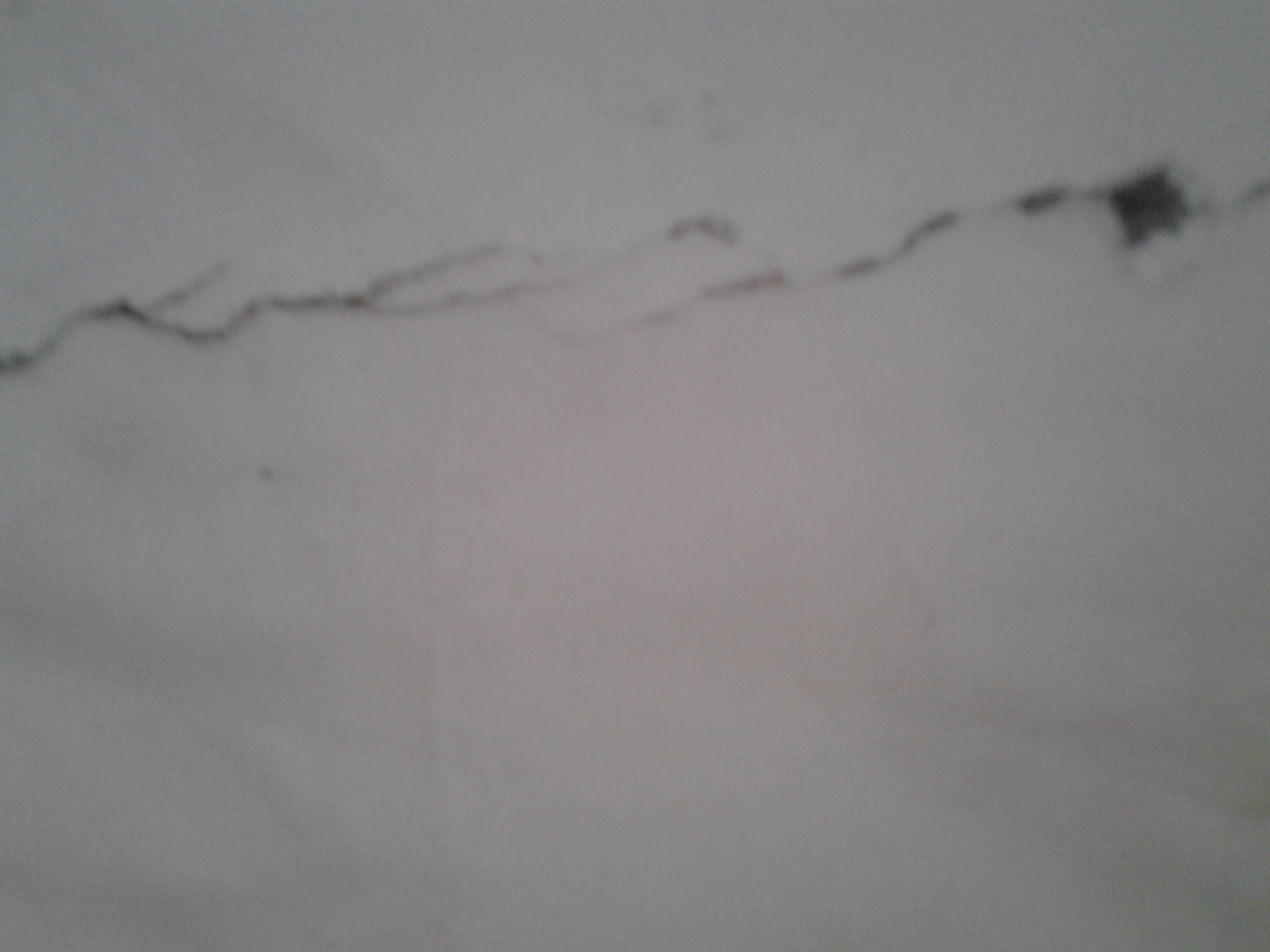 20140501_102256.jpg