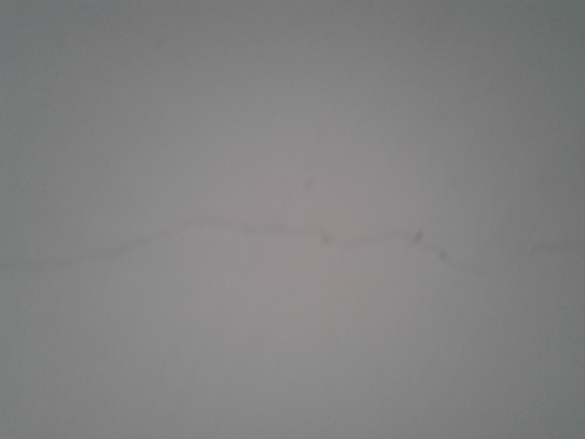 20140501_102408.jpg