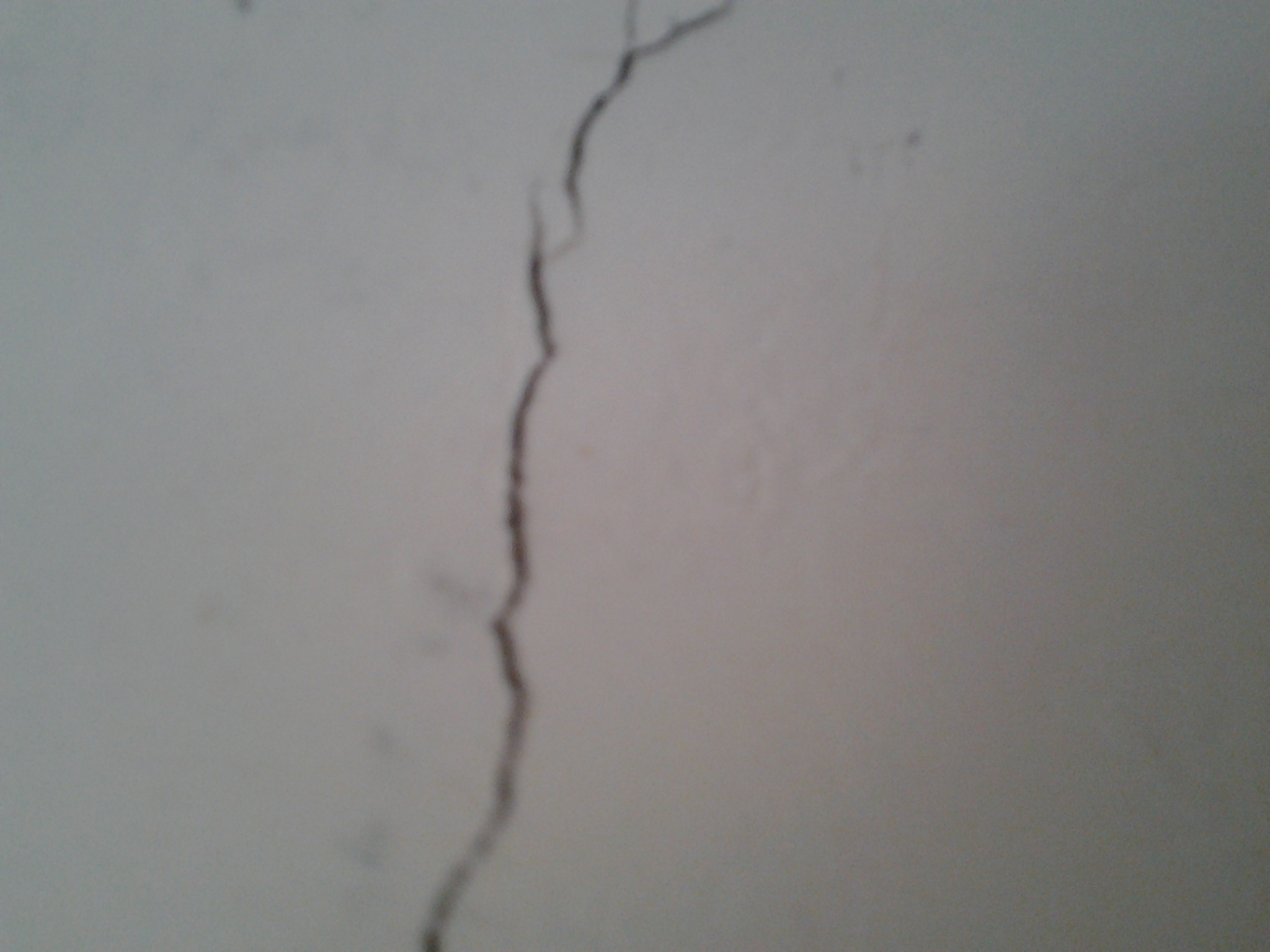 20140506_163959.jpg