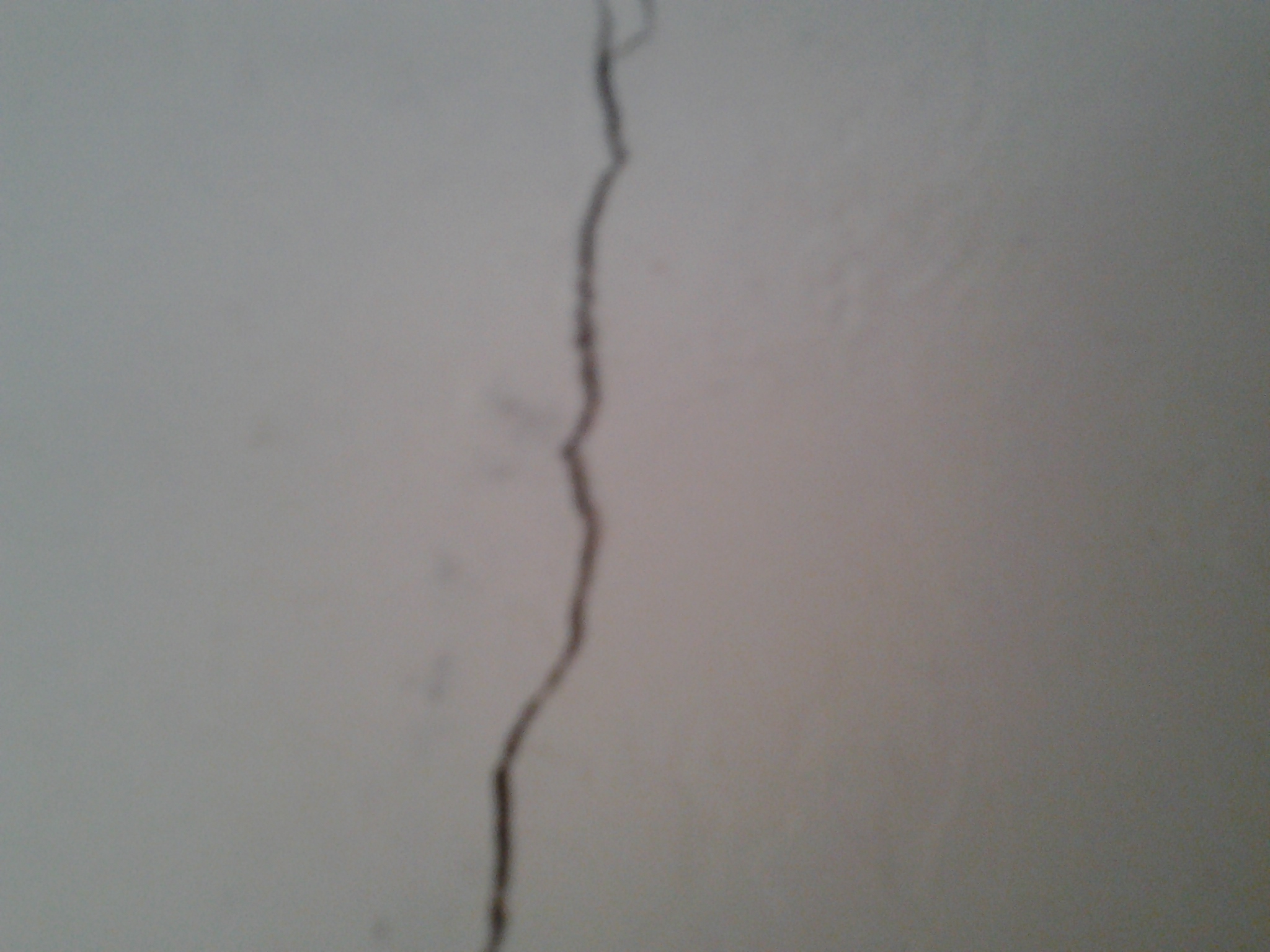 20140506_164004.jpg