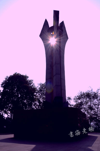 DSC_5496.jpg