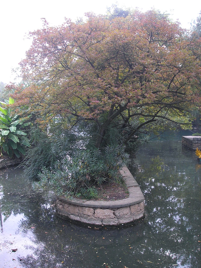 P9300076.JPG