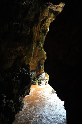 DSC_9433.JPG