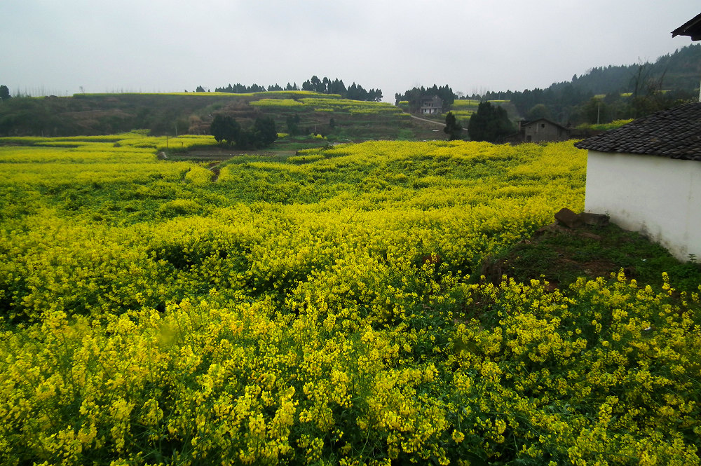 DSCF7689.jpg