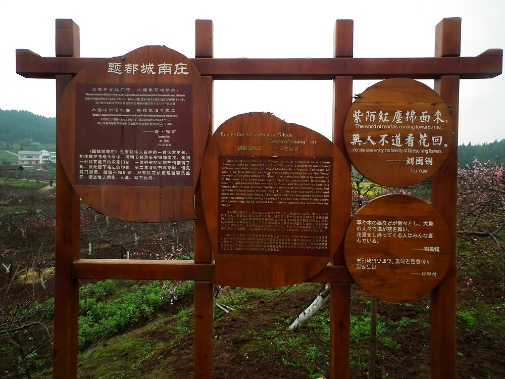 DSCF7694.jpg