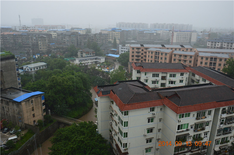 DSC_0005_.jpg