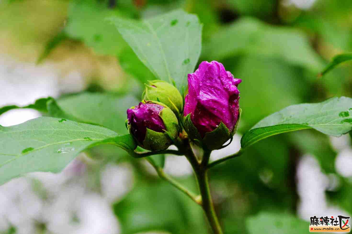 DSC_3969.JPG