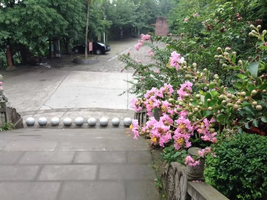 image.jpg