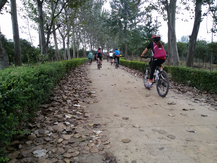 20140913_092706.jpg