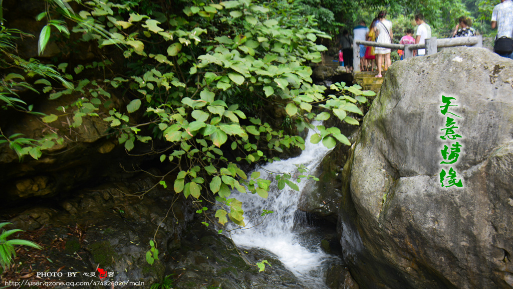 DSC_2151.jpg