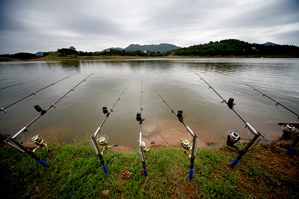 升钟湖钓鱼图片