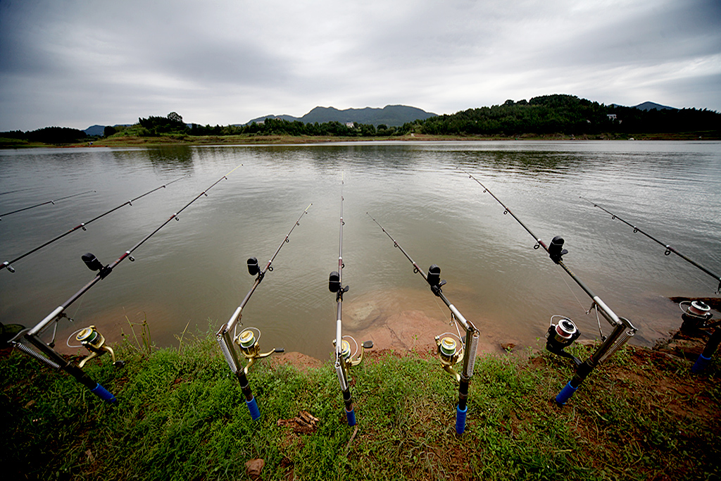 【南部采风】印象升钟湖 潇洒钓鱼人