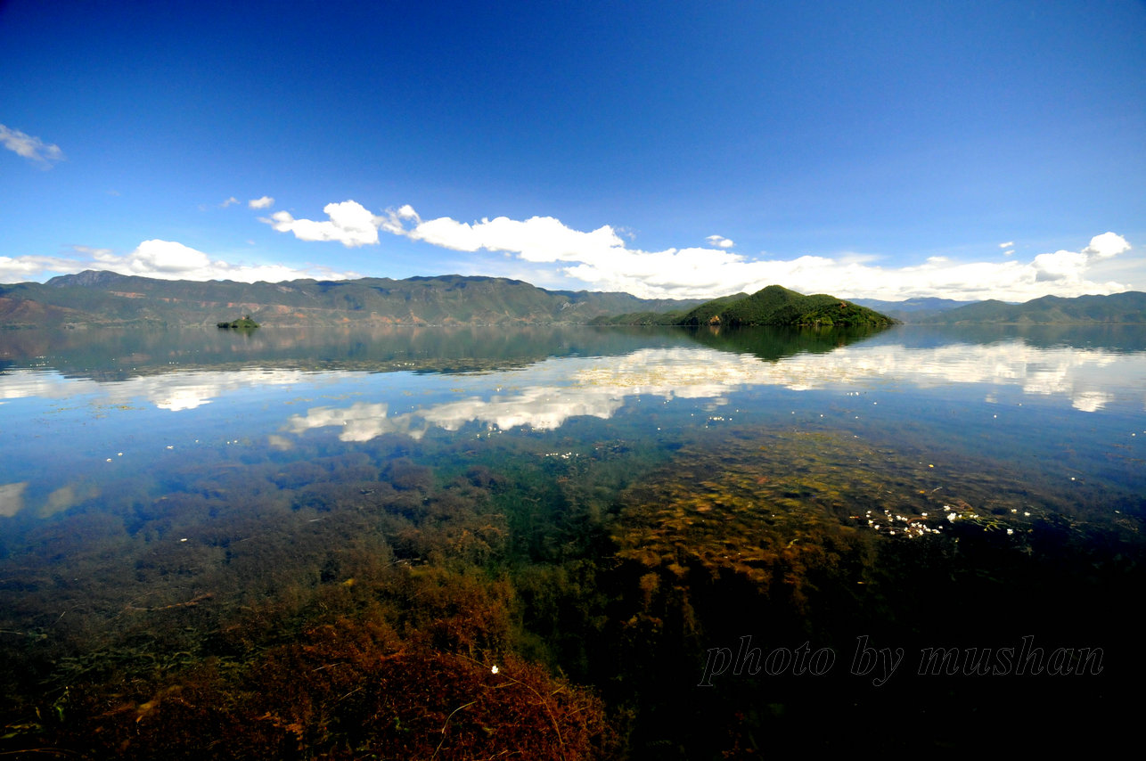 DSC_1180.JPG
