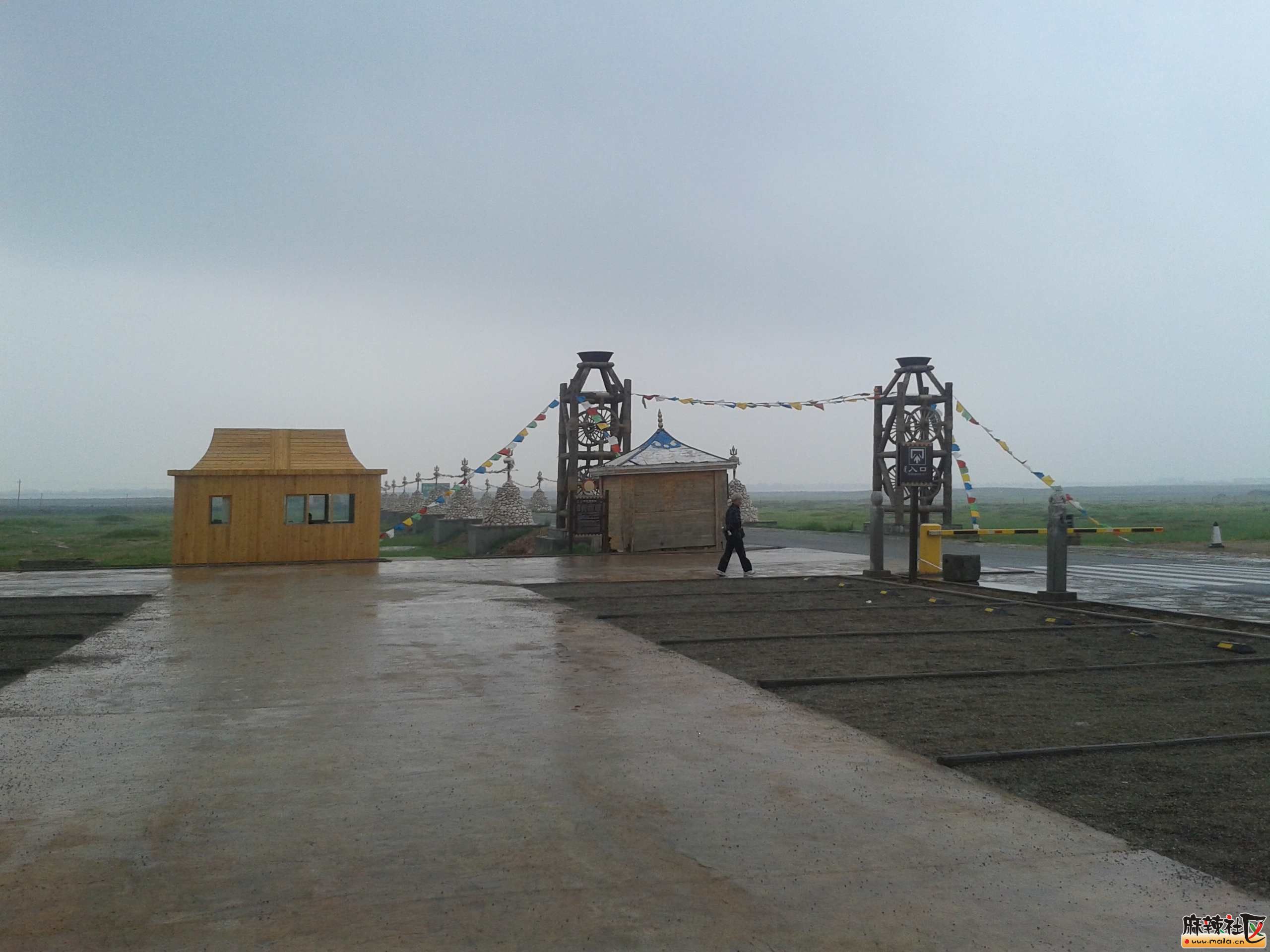 20140808_083219.jpg