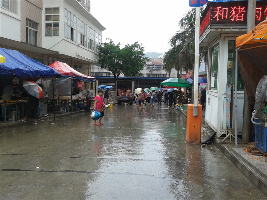 20140918_094659_.jpg
