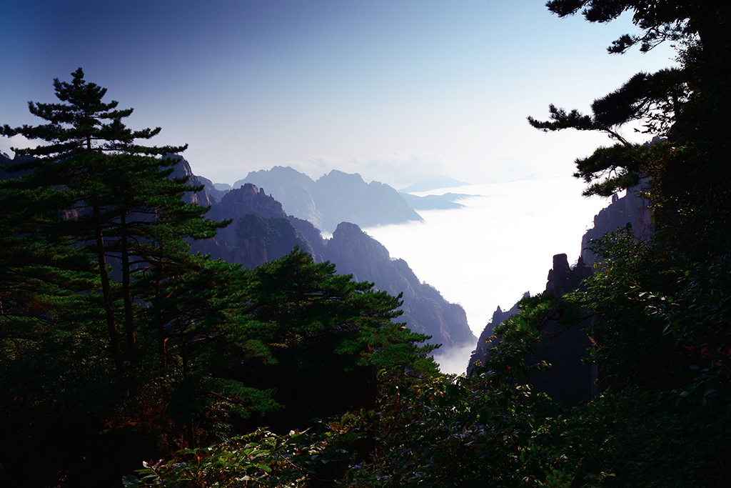 DSC_0281.jpg
