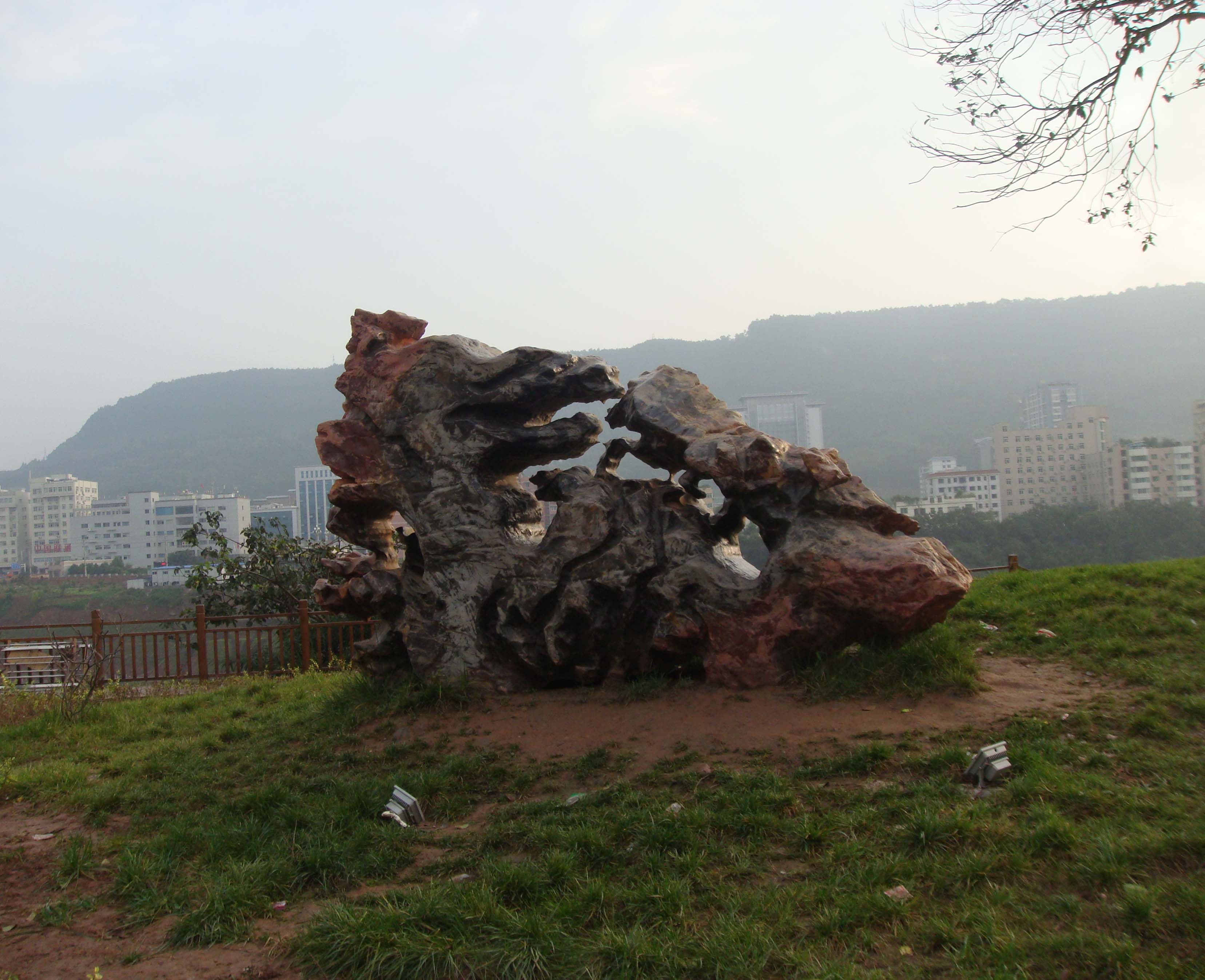 DSC07620.jpg